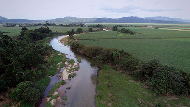 QRIDA