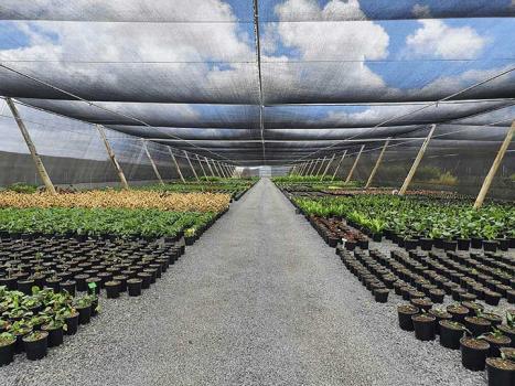 Russgos Nursery