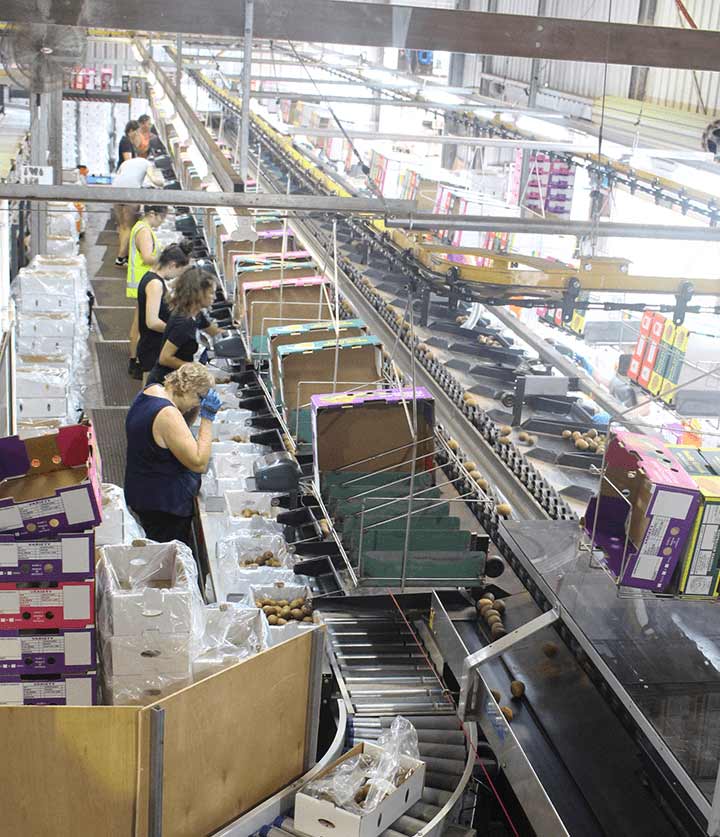 factory 