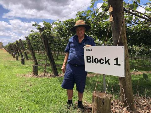 Rocky Creek Orchards