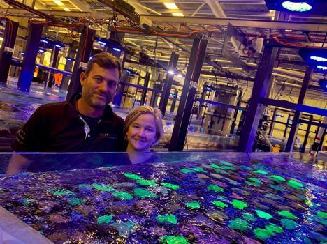 ultra_coral_nic_and_ivy_dos_santons